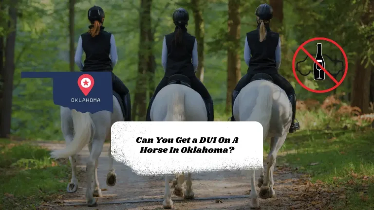 Can You Get a DUI On A Horse In Oklahoma?