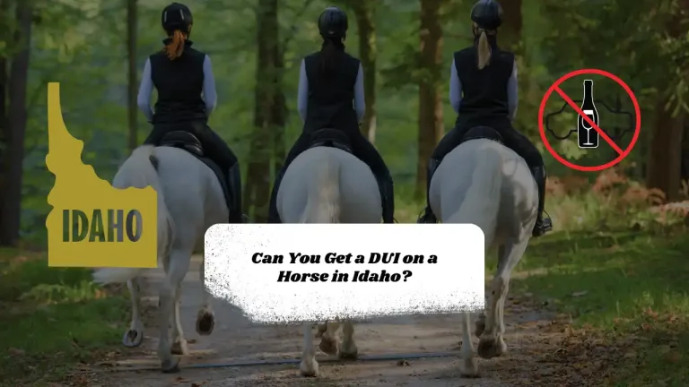 Can You Get a DUI on a Horse in Idaho?