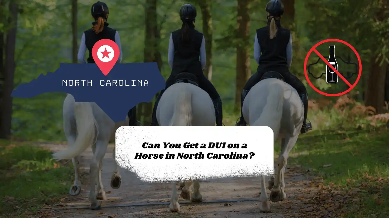 Can you get a dui on a horse in north carolina 