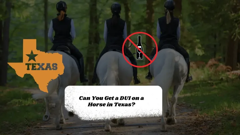 Can You Get a DUI on a Horse in Texas?