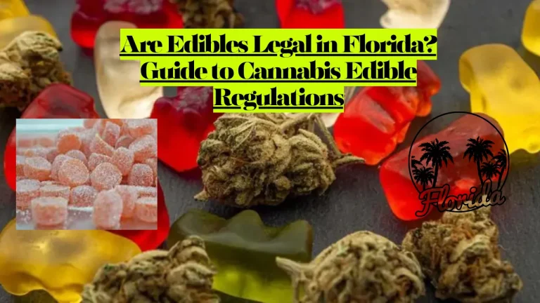 Are Edibles Legal in Florida? Guide to Cannabis Edible Regulations