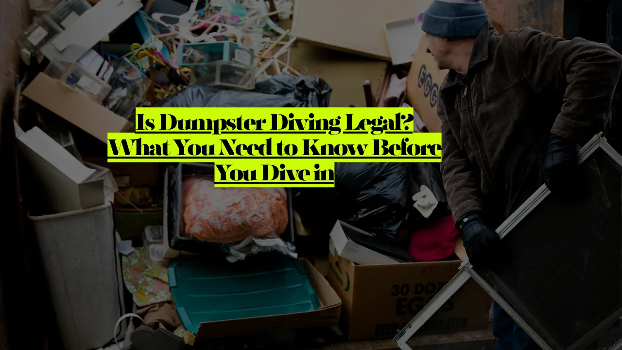 Is Dumpster Diving Legal? What You Need To Know Before You Dive