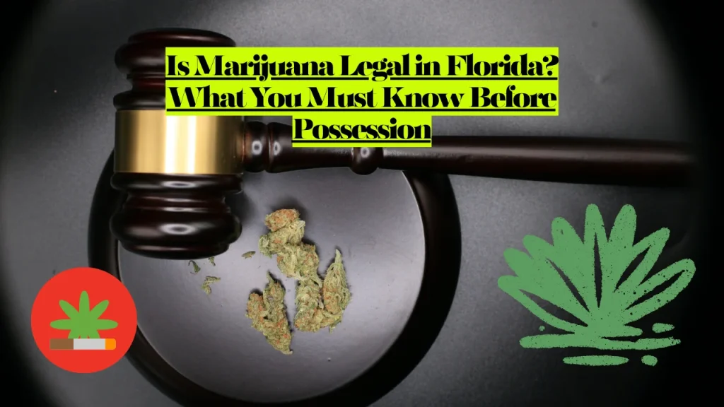 Is Marijuana Legal in Florida? What You Must Know Before Possession 1 Is Marijuana Legal in Florida? What You Must Know Before Possession