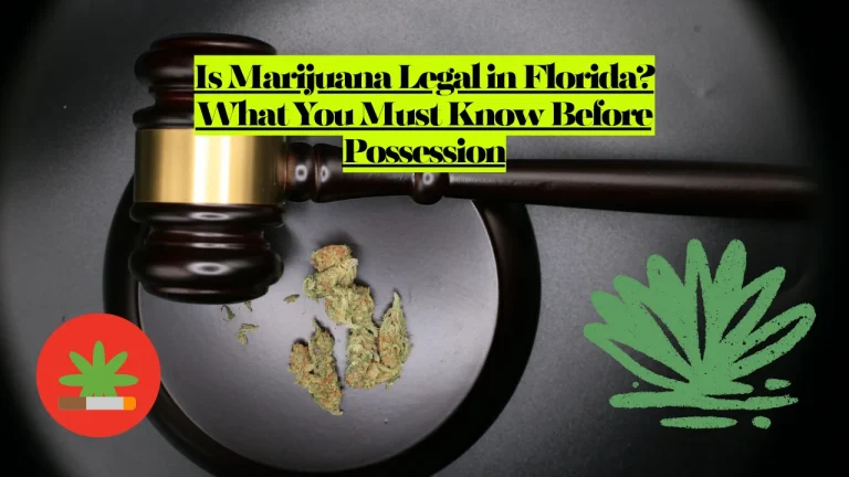 Is Marijuana Legal in Florida? What You Must Know Before Possession