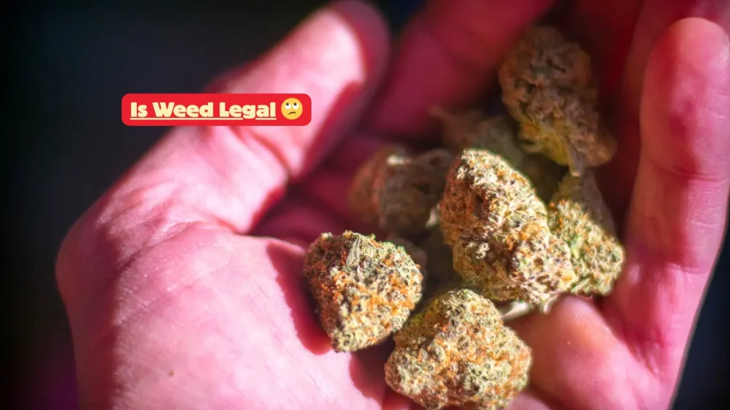 Is Weed Legal in Idaho? Shocking Truth About America's Strictest Cannabis State 2 Is Weed Legal ,
