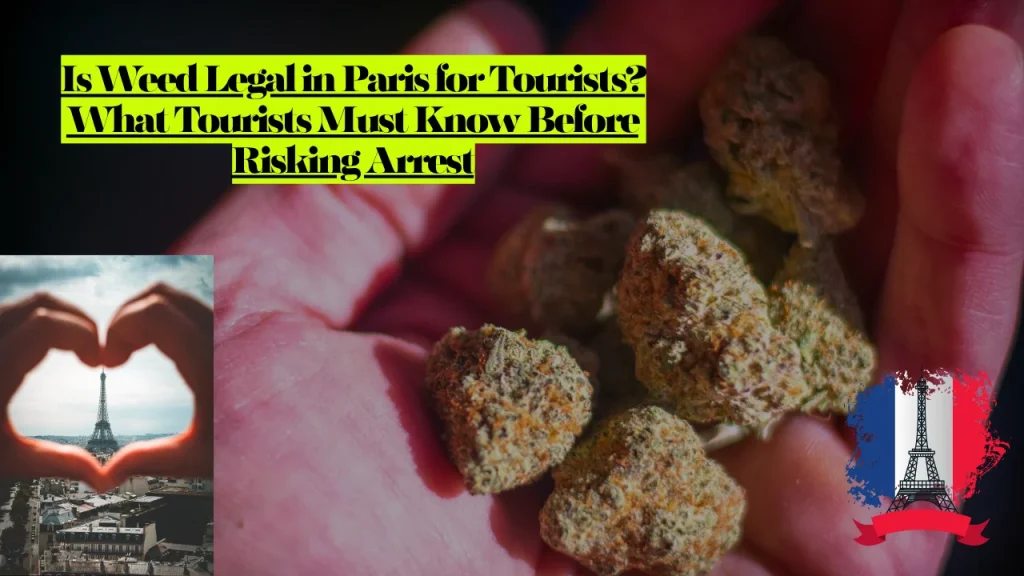Is Weed Legal in Paris for Tourists? What Tourists Must Know Before Risking Arrest 1 Is Weed Legal in Paris for Tourists? What Tourists Must Know Before Risking Arrest