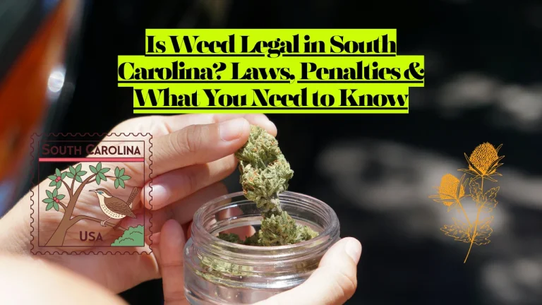 Is Weed Legal in South Carolina? Laws, Penalties & What You Need to Know
