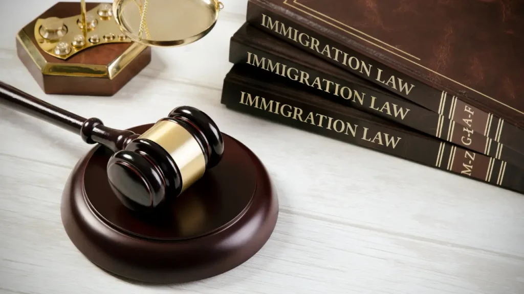 How to Find Best Immigration Lawyer Houston? Why 80% Without Counsel Face Deportation