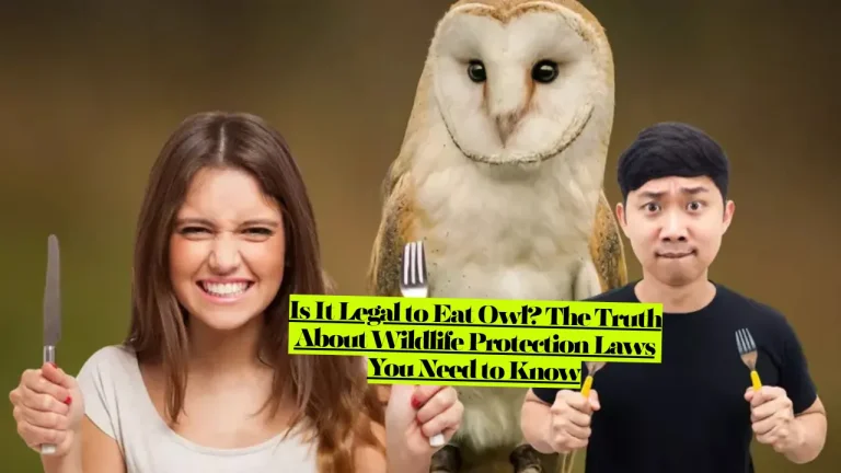 Is It Legal to Eat Owls? The Truth About Wildlife Protection Laws You Need to Know