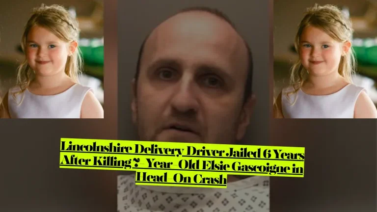 Elsie Lincolnshire News, Delivery Driver Jailed 6 Years After Killing 7-Year-Old Elsie Gascoigne in Head-On Crash