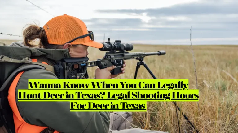 Wanna Know When You Can Legally Hunt Deer in Texas? Legal Shooting Hours For Deer in Texas 9 Wanna Know When You Can Legally Hunt Deer in Texas? Legal Shooting Hours For Deer in Texas