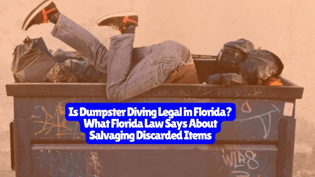 Is Dumpster Diving Legal in Florida? What Florida Law Says About Salvaging Discarded Items