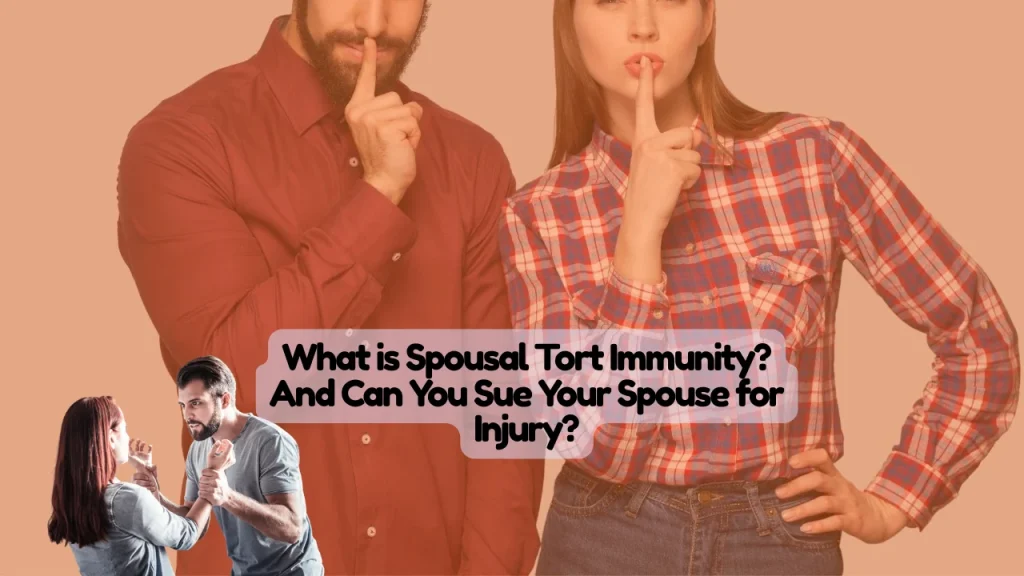 What is Spousal Tort Immunity And Can You Sue Your Spouse for Injury