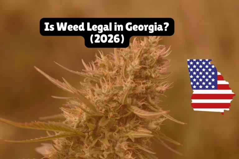  IMPORTANT 2026 UPDATE: Senate Bill 220 (medical cannabis expansion allowing vaping and higher THC limits) passed the Georgia Senate in March 2025 but did not receive a House vote before session ended. The bill carries over to 2026 and could be voted on when lawmakers reconvene in January 2026. As of February 2026, recreational marijuana remains fully illegal statewide, and medical cannabis is limited to low-THC oil (5% THC max) for registered patients only.