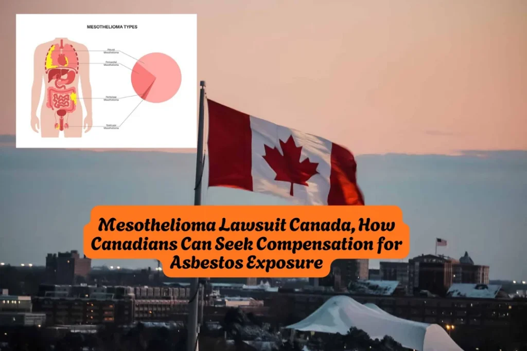 Mesothelioma Lawsuit Canada, How Canadians Can Seek Compensation for Asbestos Exposure 7 Mesothelioma Lawsuit Canada, How Canadians Can Seek Compensation for Asbestos Exposure