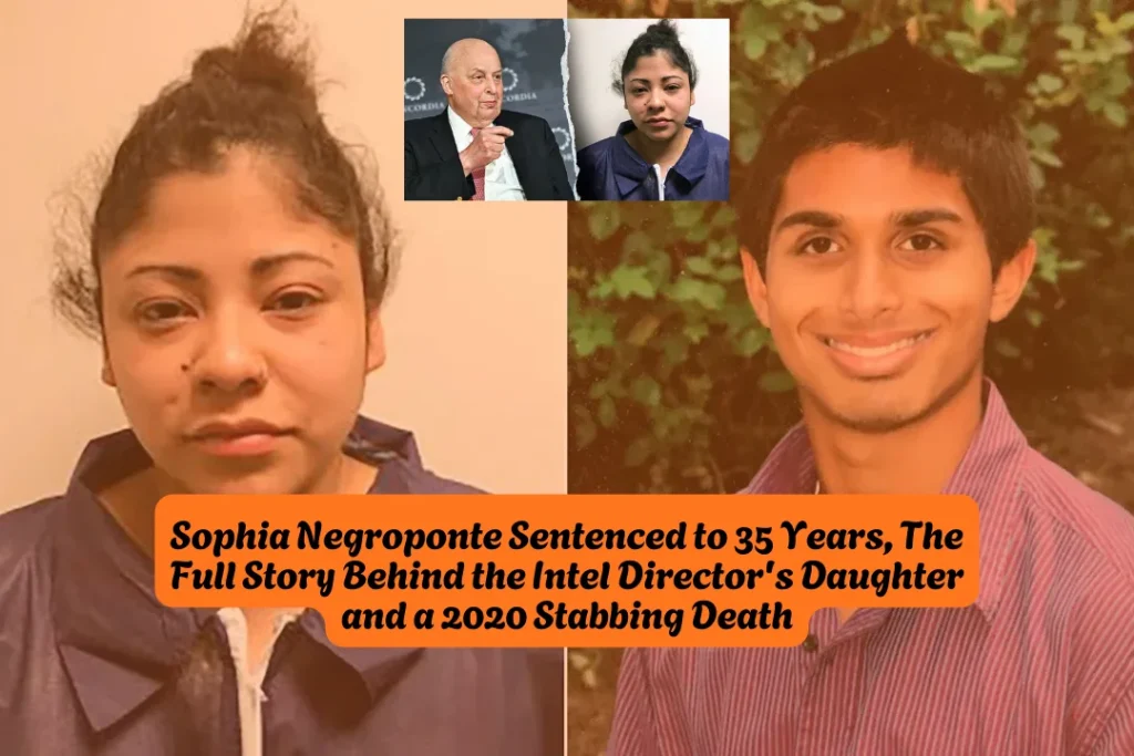 Sophia Negroponte Sentenced to 35 Years, The Full Story Behind the Intel Director's Daughter and a 2020 Stabbing Death