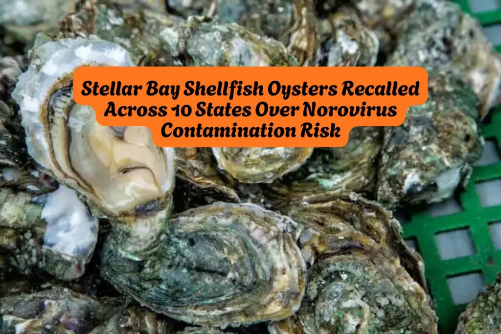 Stellar Bay Shellfish Oysters Recalled Across 10 States Over Norovirus Contamination Risk