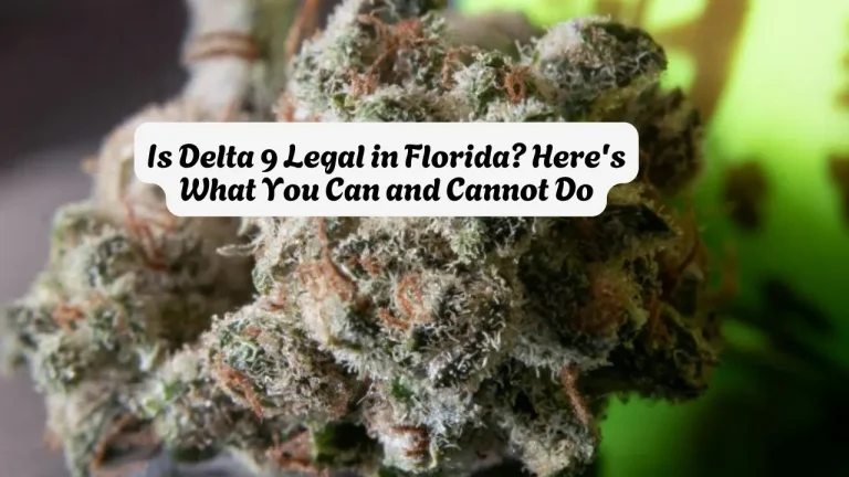Is Delta 9 Legal in Florida Here's What You Can and Cannot Do