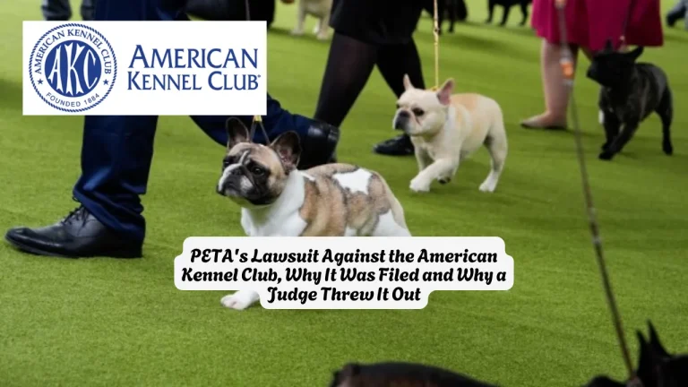 PETA's Lawsuit Against the American Kennel Club, Why It Was Filed and Why a Judge Threw It Out
