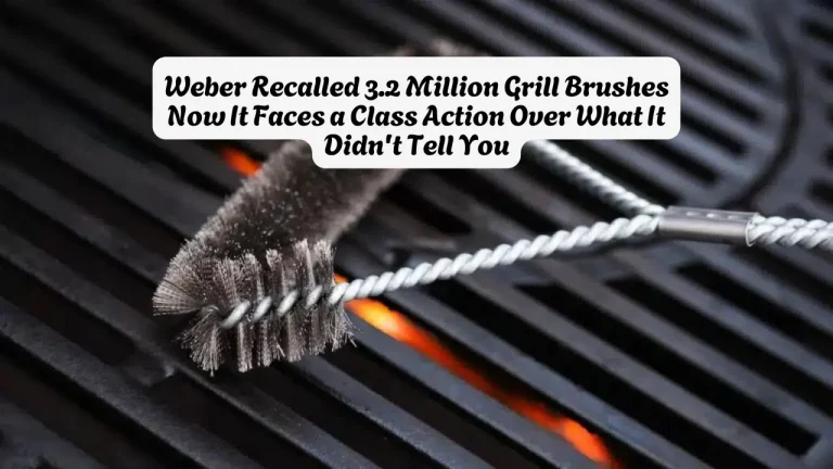 Weber Recalled 3.2 Million Grill Brushes Now It Faces a Class Action Over What It Didn't Tell You