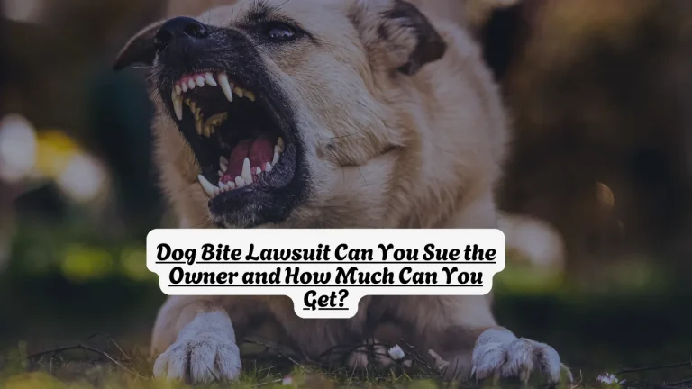 Dog Bite Lawsuit Can You Sue the Owner and How Much Can You Get?