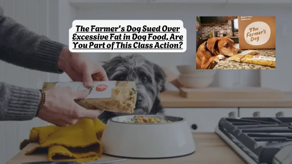 The Farmer's Dog Sued Over Excessive Fat in Dog Food, Are You Part of This Class Action?