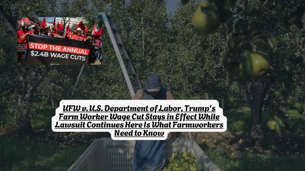 UFW v. U.S. Department of Labor, Trump's Farm Worker Wage Cut Stays in Effect While Lawsuit Continues Here Is What Farmworkers Need to Know