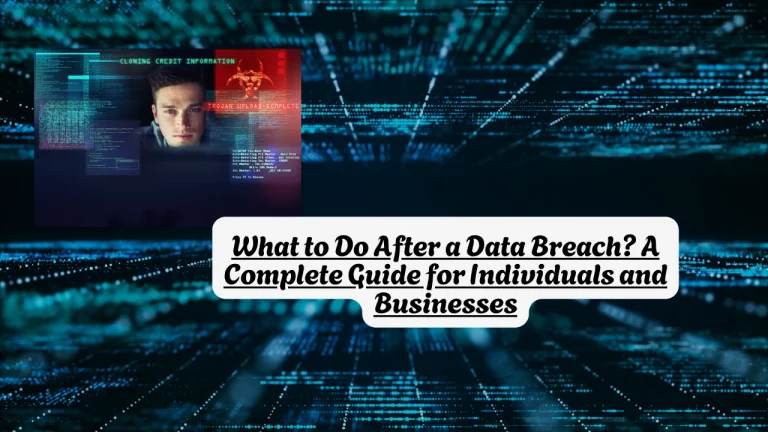 What to Do After a Data Breach? A Complete Guide for Individuals and Businesses