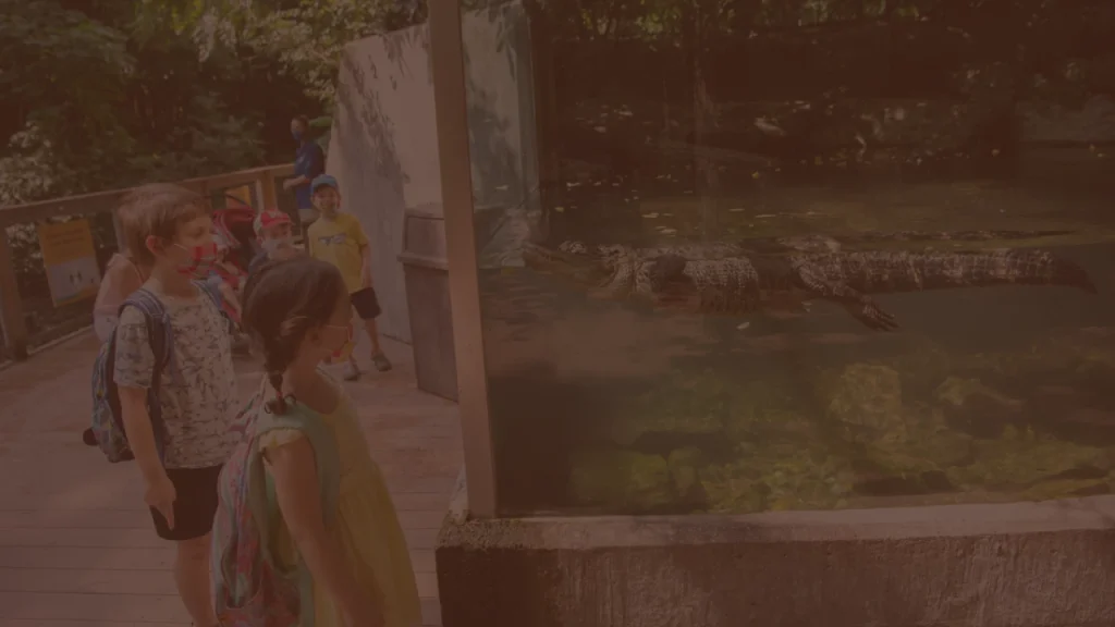 Bronx Zoo Ticket Fee Settlement Claims Closed — Patterson v. Wildlife Conservation Society, No. 1:24-cv-00171
