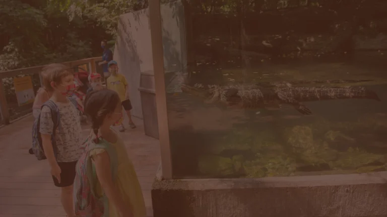 Bronx Zoo Ticket Fee Settlement Claims Closed — Patterson v. Wildlife Conservation Society, No. 1:24-cv-00171
