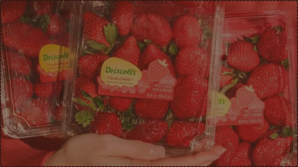 Driscoll's Strawberries PFAS Lawsuit, Were You Affected? — Berlinger v. Driscoll's, Inc., No. 5:26-cv-06444