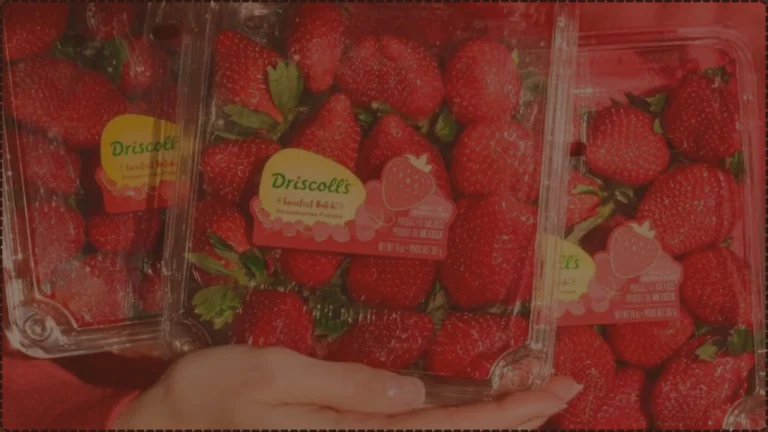 Driscoll's Strawberries PFAS Lawsuit, Were You Affected? — Berlinger v. Driscoll's, Inc., No. 5:26-cv-06444
