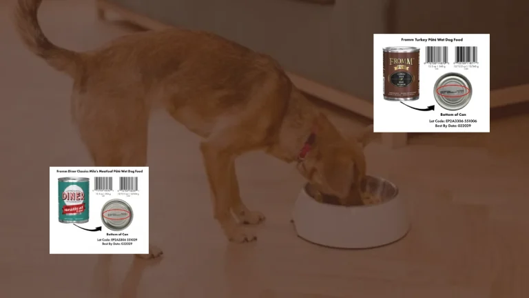Fromm and Oma's Pride Dog Food Recalls, What Pet Owners Need to Know