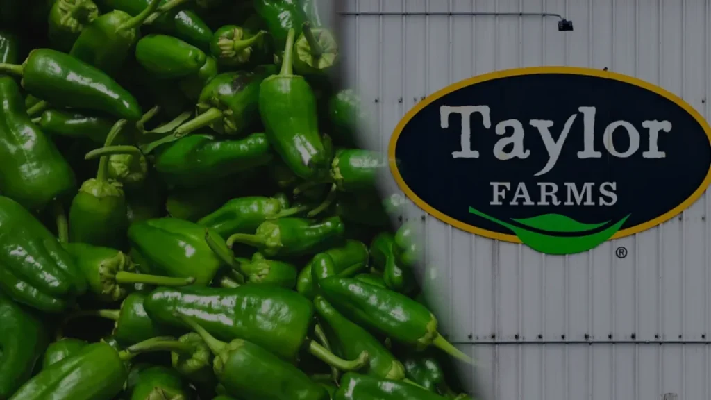 Taylor Farms Jalapeño Recall, What to Know About the Salmonella Outbreak Sickening Hundreds