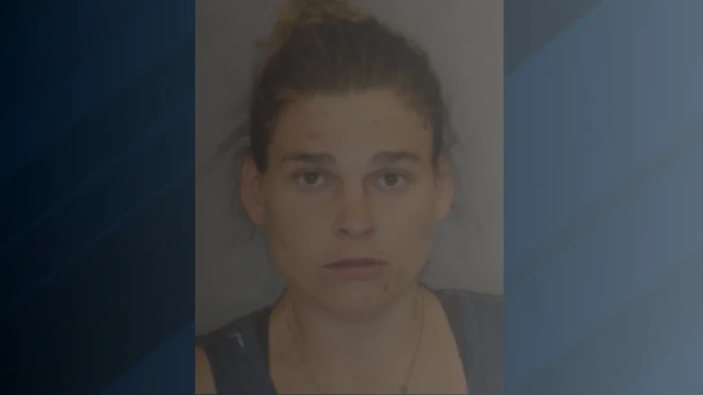 Ballston Woman Charged With Identity Theft, What the Case Against Tracy Fox Means
