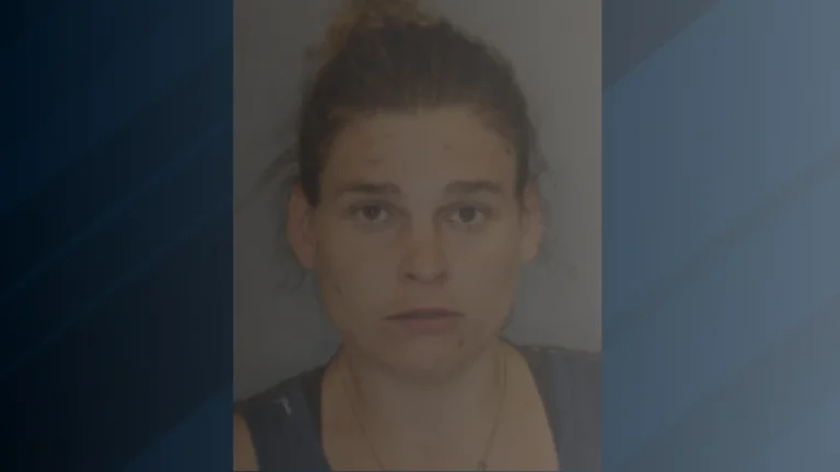 Ballston Woman Charged With Identity Theft, What the Case Against Tracy Fox Means