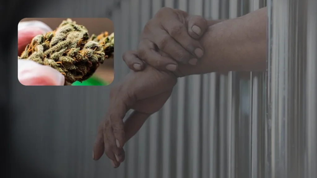 Can You Go to Jail for Having THCA in Texas? (September 2026)