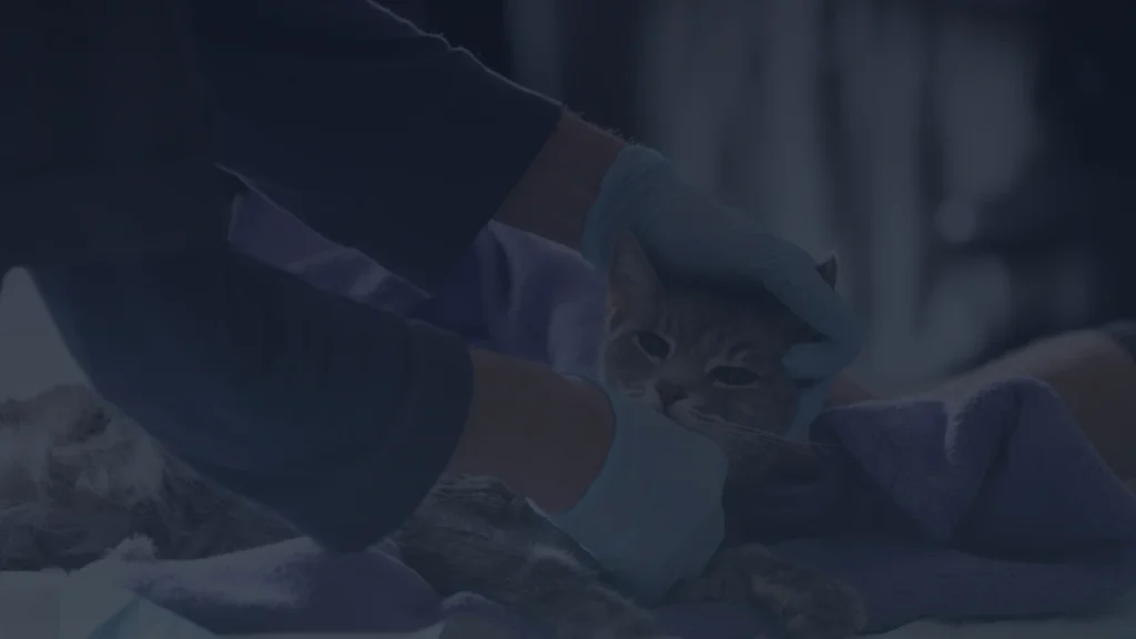 Judge Dismisses Lawsuit Accusing the AVMA of Monopolizing the Veterinarian Supply — Lincoln Memorial University v. AVMA, No. 3:25-CV-00282