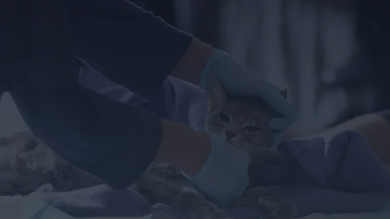 Judge Dismisses Lawsuit Accusing the AVMA of Monopolizing the Veterinarian Supply — Lincoln Memorial University v. AVMA, No. 3:25-CV-00282