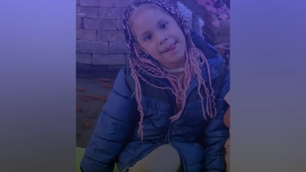 7-Year-Old Girl Fatally Stabbed in Chicago's East Chatham Neighborhood, Shavon Gayden Charged With First-Degree Murder