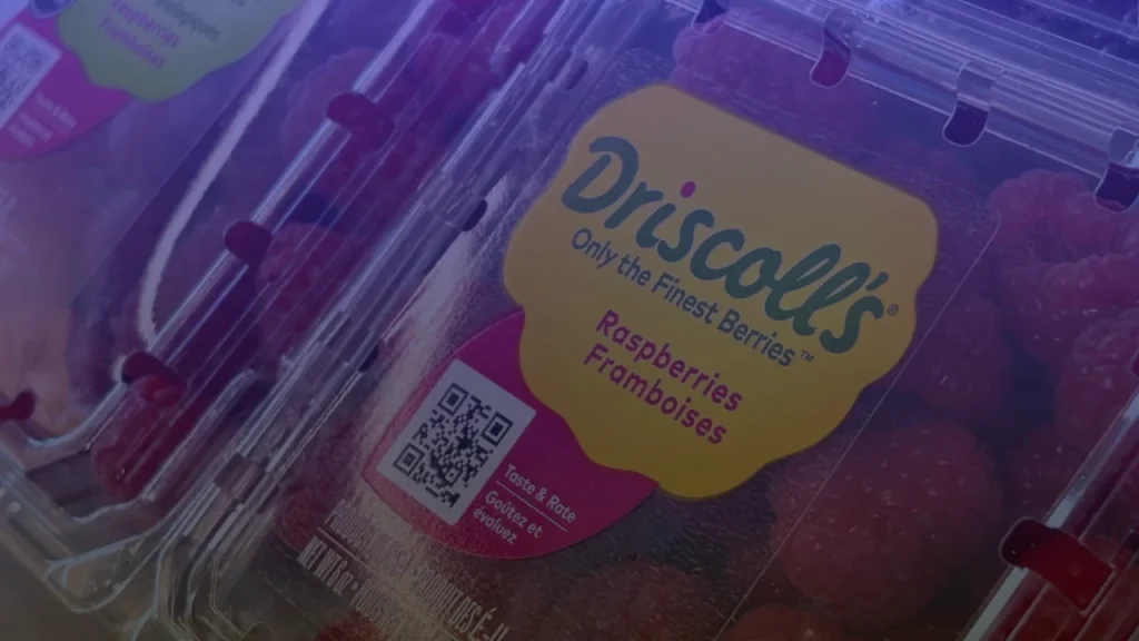 Driscoll's Berry Pesticide Residue Lawsuit in Quebec, Gauthier v. Driscoll's Canada Operations Inc., No. 500-06-000075-263