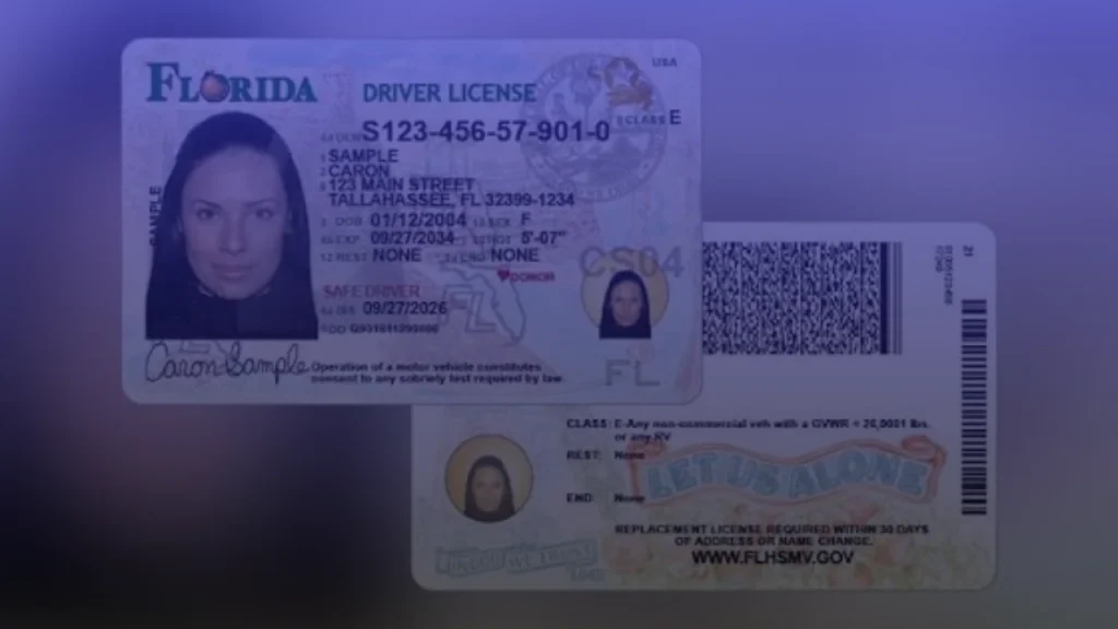 Florida Driver License New Design 2026, What Changed and What Happens to Your Current Card