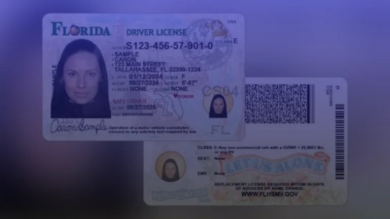 Florida Driver License New Design 2026, What Changed and What Happens to Your Current Card
