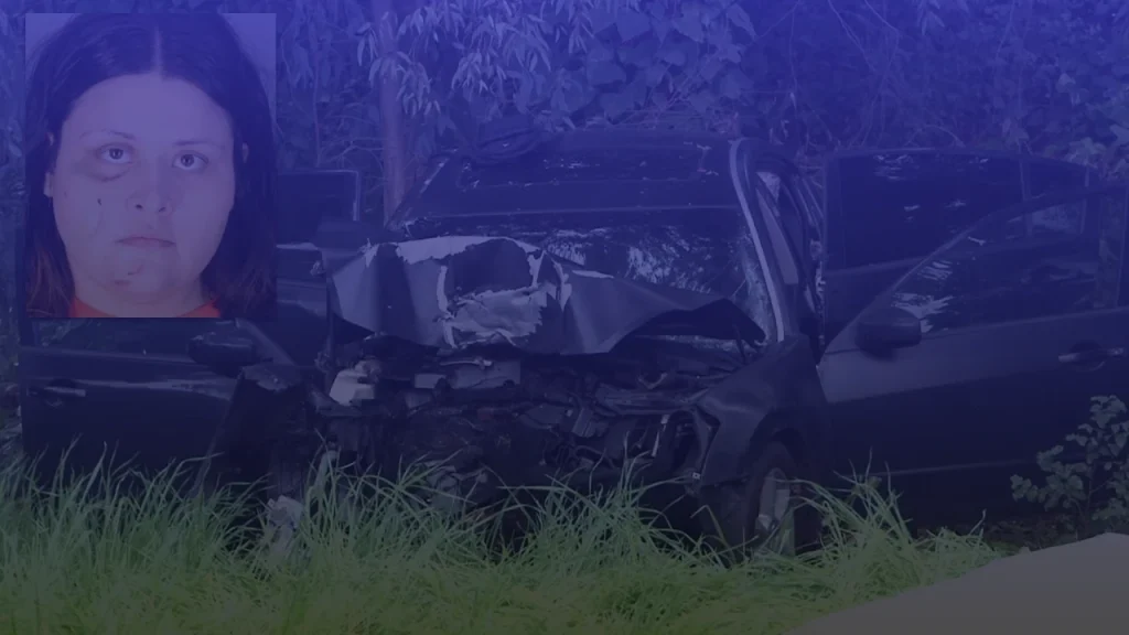 Napa DUI Crash, Yesica Barajas Faces Two Murder Charges After Highway 29 Crash Killed Her Two Children