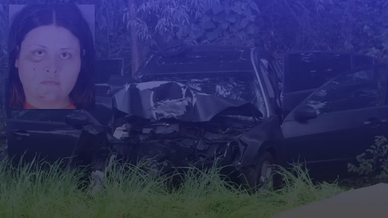 Napa DUI Crash, Yesica Barajas Faces Two Murder Charges After Highway 29 Crash Killed Her Two Children