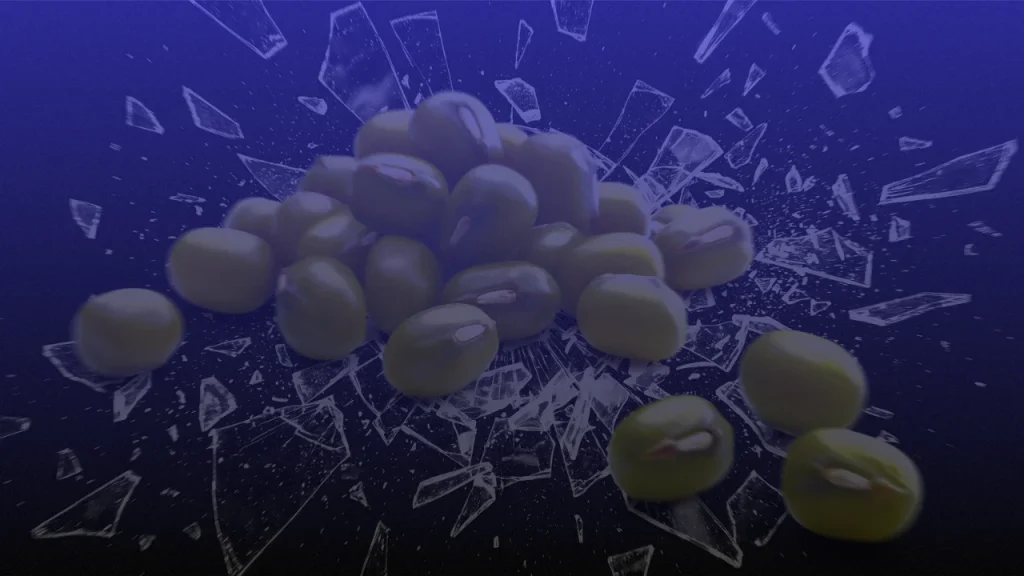 Natural Grocers Mung Beans Recall, Organic 2-Pound Bags May Contain Glass — Check These 5 Pack Codes