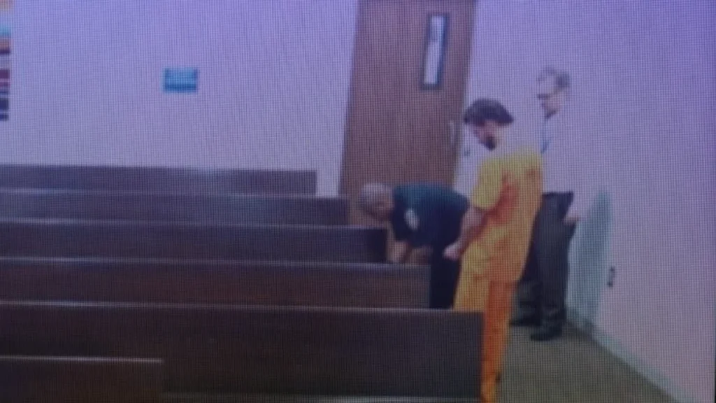 Tekiyah McLeod Pleads Guilty to $477,872 in Medicaid Fraud and Aggravated Identity Theft, What Happens Next